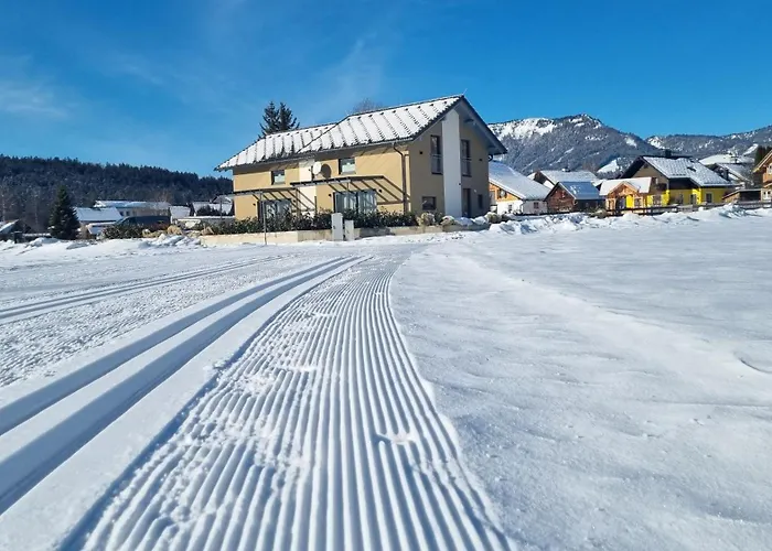 Ferienhaus Alpenlodge Bad Mitterndorf